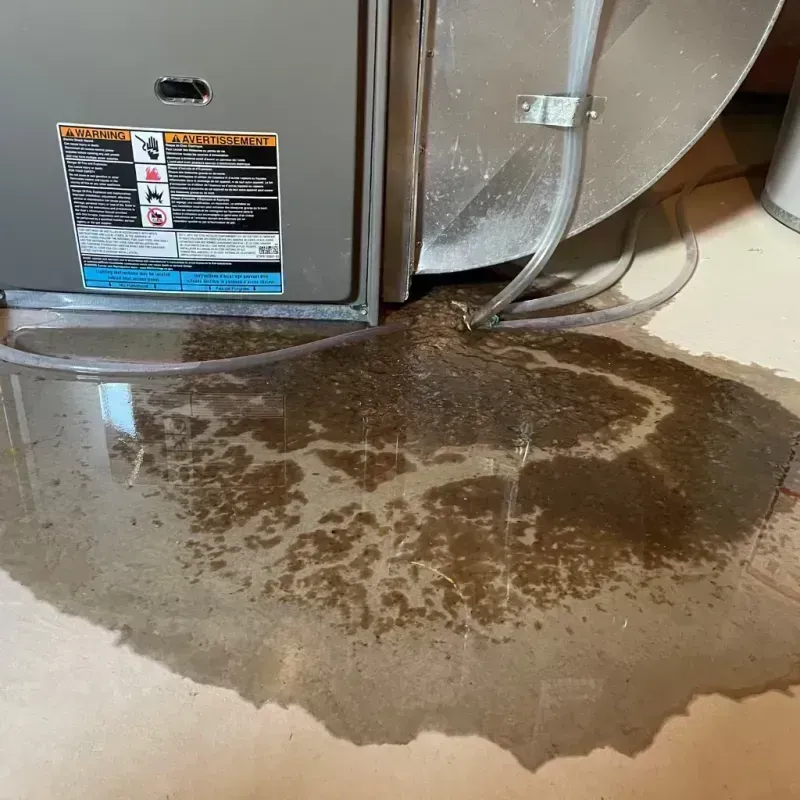 Appliance Leak Cleanup in Madison, WV